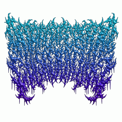 logo Intracerebral Evisceration